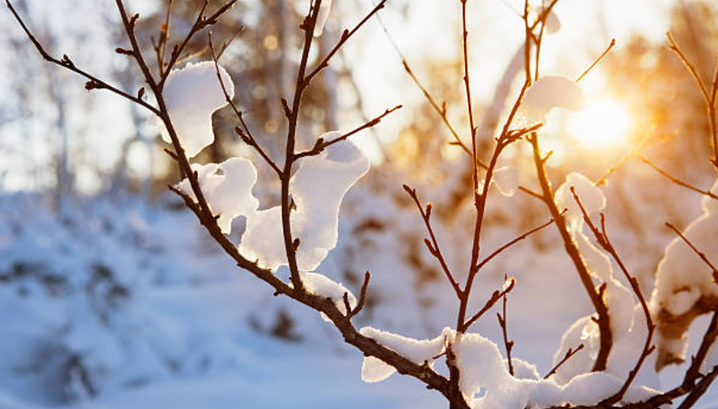 In alignment with the breath