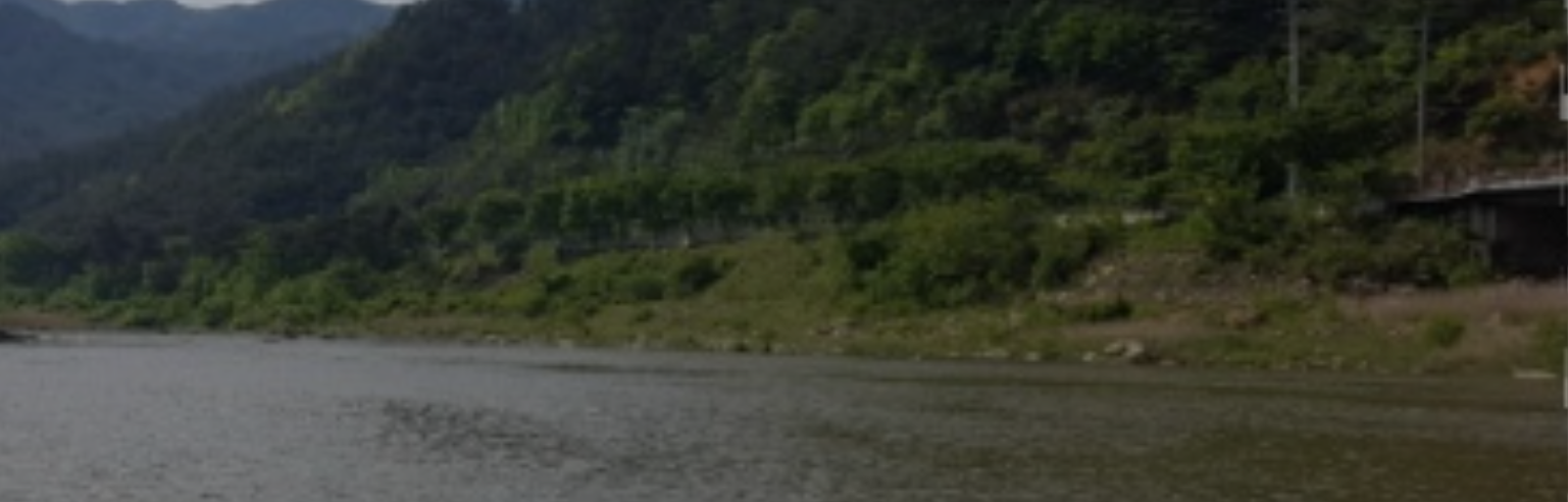 Understanding the Power of Mind